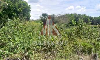 Imagem 7: FAZENDA - SÃO GABRIEL DO OESTE - MS