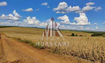 Imagem: FAZENDA - BOM SUCESSO - PARANÁ