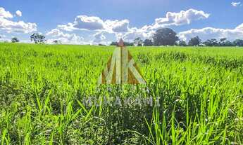 Imagem: FAZENDA - SÃO GABRIEL DO OESTE - MS