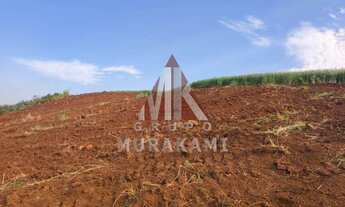 Imagem 7: FAZENDA - PALMITAL - PARANÁ