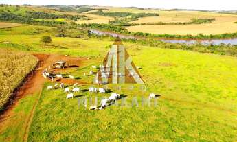 Imagem: FAZENDA - NOVA AURORA - PR