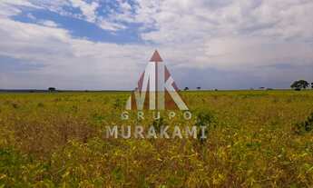 Imagem 4: FAZENDA - IGUATEMI - MS