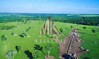 Imagem 3: FAZENDA - PARANATINGA - MT