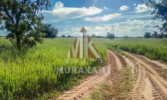 Imagem: FAZENDA - AMAMBAÍ - MS