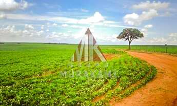 Imagem 5: FAZENDA - PIQUIRAVAÍ - PR
