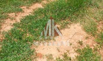 Imagem: FAZENDA - SÃO GABRIEL DO OESTE - MS