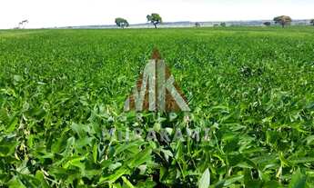 Imagem 2: FAZENDA - IGUATEMI - MS