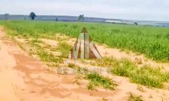 Imagem 4: FAZENDA - NAVIRÁI - MS