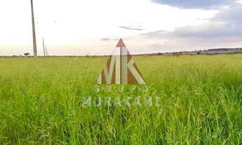 Imagem: FAZENDA - NAVIRÁI - MS