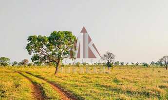 Imagem 7: FAZENDA - CAMPO GRANDE - MS