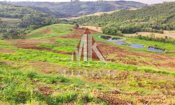 Imagem 6: FAZENDA - PALMITAL - PARANÁ
