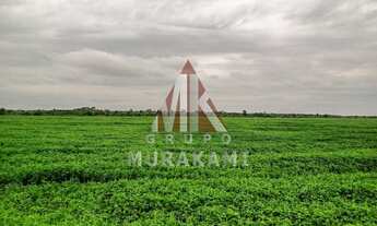 Imagem: ITIQUIRA - MATO GROSSO