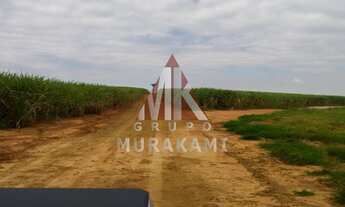 Imagem: FAZENDA EM PRESIDENTE PRUDENTE SÃO PAULO