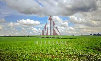 Imagem 4: FAZENDA - PIQUIRAVAÍ - PR