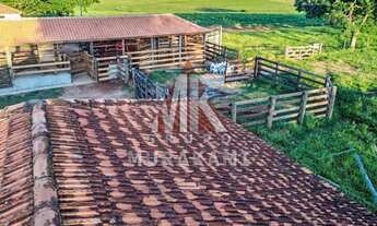 Imagem 6: FAZENDA - MIRANTE DO PARANAPANEMA - SP