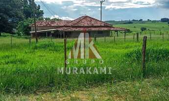 Imagem 5: FAZENDA - MIRANTE DO PARANAPANEMA - SP