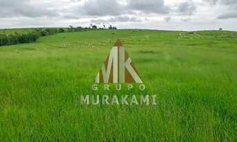 Imagem: FAZENDA - MIRANTE DO PARANAPANEMA - SP