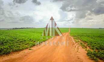 Imagem: FAZENDA - PIQUIRAVAÍ - PR