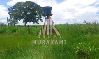 Imagem 5: FAZENDA - SÃO GABRIEL DO OESTE - MS