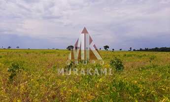 Imagem: FAZENDA - IGUATEMI - MS