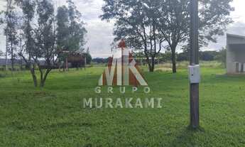 Imagem 5: FAZENDA - CAMPO GRANDE - MS