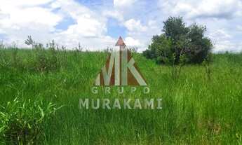 Imagem 6: FAZENDA - SÃO GABRIEL DO OESTE - MS