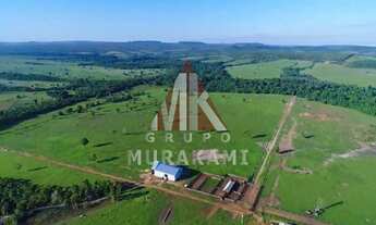 Imagem: FAZENDA - PARANATINGA - MT