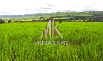 Imagem: FAZENDA - RIO VERDE - MS