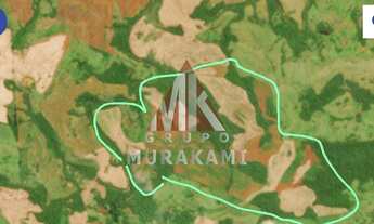 Imagem 3: FAZENDA - PALMITAL - PARANÁ