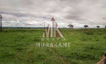 Imagem: FAZENDA - AMAMBAÍ - MS