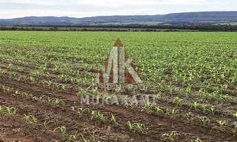 Imagem: RIO VERDE - MATO GROSSO DO SUL