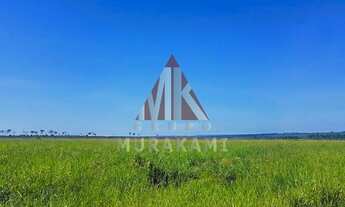 Imagem: FAZENDA - PARANATINGA - MATO GROSSO