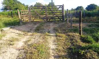 Imagem 3: CHACARA RURAL em SÃO JOÃO DO ARAGUAIA - PA, Vila 1º de Março