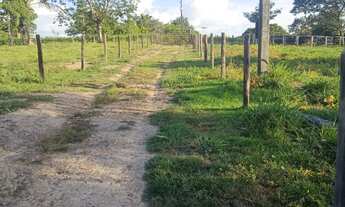 Imagem 4: CHACARA RURAL em SÃO JOÃO DO ARAGUAIA - PA, Vila 1º de Março