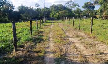 Imagem 2: CHACARA RURAL em SÃO JOÃO DO ARAGUAIA - PA, Vila 1º de Março