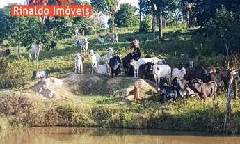 Imagem 5: CHACARA RURAL em SÃO JOÃO DO ARAGUAIA - PA, Vila 1º de Março