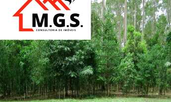 Imagem: Na Avenida Paulo Guilguer Reimberg