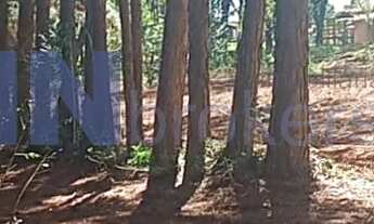 Imagem 2: Terreno Comercial de 5.500m² para Locação em Jundiaí Mirim, Jundiaí-SP: Oportunidade Única