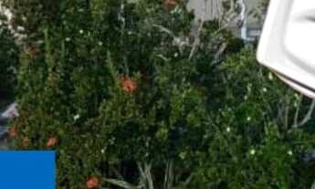 Imagem: Casa residencial Condomínio Priscila Dutra