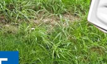 Imagem: Terreno residencial Alphaville Litoral Norte