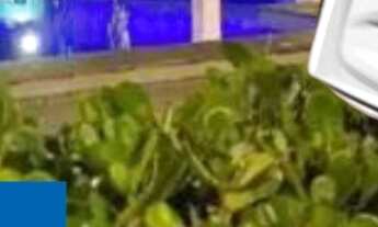 Imagem: Apartamento residencial para Locação no