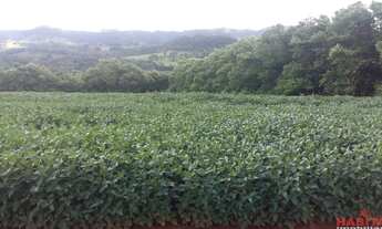 Imagem: FAZENDA RURAL em PEDREGULHO - SP, Rural