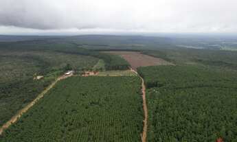 Imagem: FAZENDA RURAL em JOÃO PINHEIRO - MG, RURAL