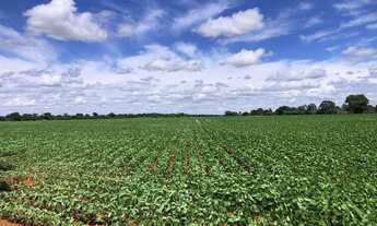 Imagem 2: FAZENDA RURAL em UBERABA - MG, CENTRO