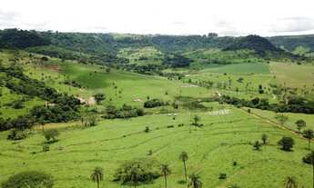 Imagem: FAZENDA PARA GADO - SP