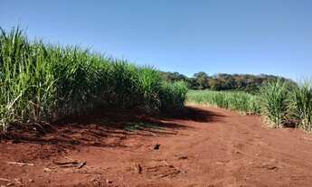 Imagem: FAZENDA RURAL em RESTINGA - SP, Rural