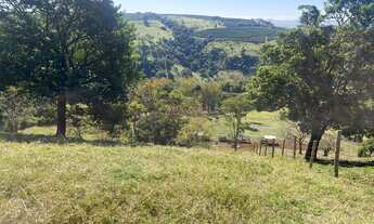 Imagem 2: Oportunidade única: sítio à venda em Franca-SP. Venha conhecer!
