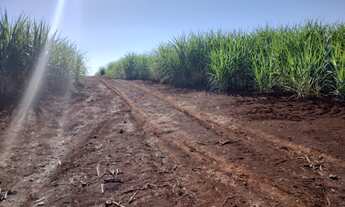 Imagem: FAZENDA RURAL em FRANCA - SP, JARDIM FRANCANO