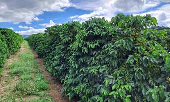 Imagem: FAZENDA RURAL em Município de Vargem Bonita