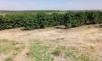 Imagem 3: FAZENDA RURAL em GARÇA - SP, ...